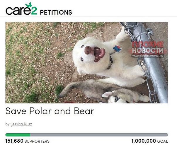У откусивших ребенку руку собак нашлись десятки тысяч защитников Более 150 тысяч пользователей подписали петицию против усыпления двух хаски, которые откусили руку четырехлетнему мальчику в